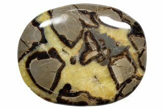 Gorgeous, Polished Septarian Stone - Madagascar #341869