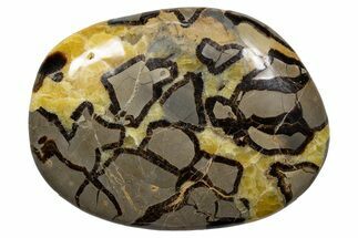 Gorgeous, Polished Septarian Stone - Madagascar #341873