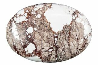 Polished Wild Horse Magnesite - Arizona #341928