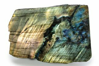 Tall, Single Side Polished Labradorite - Free-Standing #341823