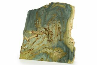Free-Standing, Gary Green Jasper (Larsonite) Bog Wood - Oregon #334839