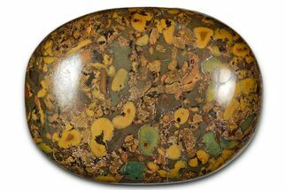 Polished Fruit Jasper Palm Stone - India #342238