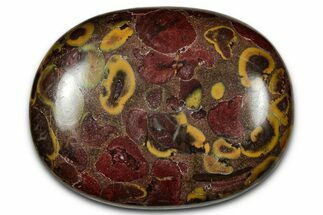 Polished Fruit Jasper Palm Stone - India #342244