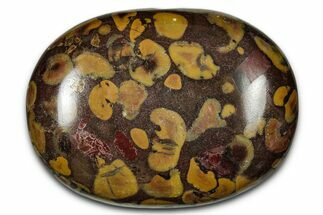 Polished Fruit Jasper Palm Stone - India #342247