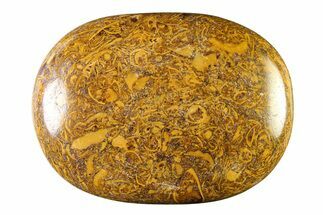 Polished Miriam Stone Palm Stone - India #342288
