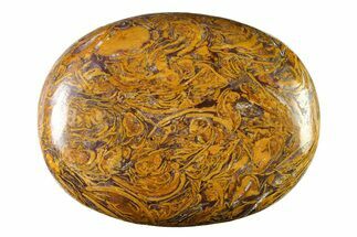 Polished Miriam Stone Palm Stone - India #342292