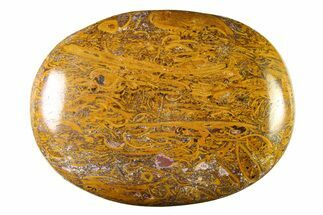 Polished Miriam Stone Palm Stone - India #342293