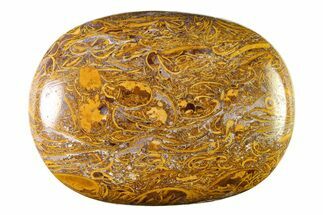 Polished Miriam Stone Palm Stone - India #342294