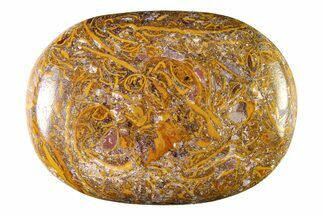 Polished Miriam Stone Palm Stone - India #342297