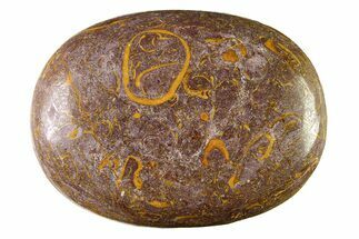 Polished Miriam Stone Palm Stone - India #342300