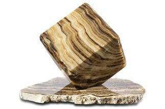 Swirling Polished Chocolate Calcite Cube With Base #342382
