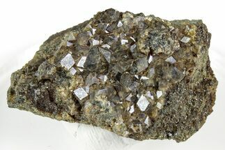 Lustrous Rainbow Andradite Garnets - Norway #342334