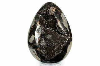 Polished Dragon Egg Septarian Geode #342597