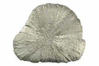 Radiant Pyrite Sun - Sparta, Illinois #342546