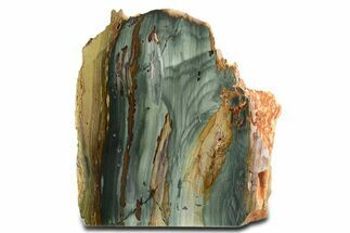 Free-Standing, Gary Green Jasper (Larsonite) Bog Wood - Oregon #334795