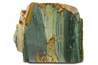 Free-Standing, Gary Green Jasper (Larsonite) Bog Wood - Oregon #334855