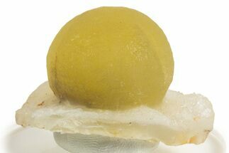 Botryoidal Yellow Fluorite on Quartz - India #342398