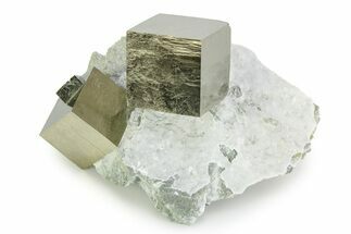 Two Large Shiny Pyrite Cubes In Rock - Navajun, Spain #343202