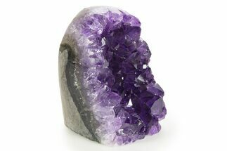 Free-Standing Amethyst Crystal Cluster - Uruguay #343762