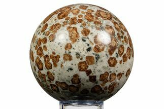 Polished Garnet In Wollastonite Sphere - Namibia #343957