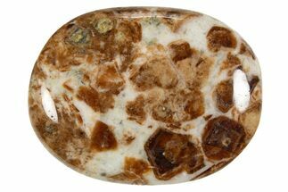 Polished Garnet In Wollastonite Stone - Namibia #343970