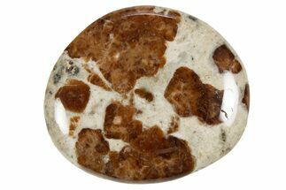 Polished Garnet In Wollastonite Stone - Namibia #343971
