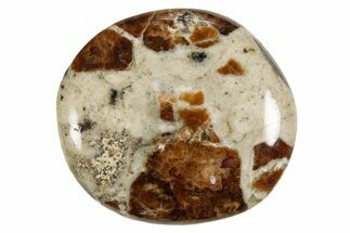 Polished Garnet In Wollastonite Stone - Namibia #343973