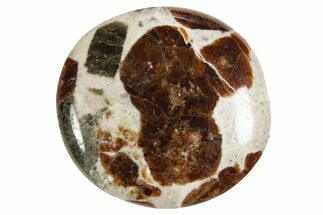 Polished Garnet In Wollastonite Stone - Namibia #343975