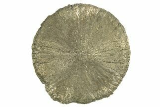 Radiant Pyrite Sun - Sparta, Illinois #342557