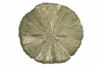 Radiant Pyrite Sun - Sparta, Illinois #342564