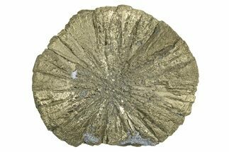 Radiant Pyrite Sun - Sparta, Illinois #342567