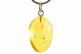 Polished Baltic Amber Pendant (Necklace) - Contains Fly! #339545