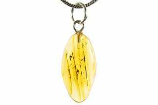 Polished Baltic Amber Pendant (Necklace) - Contains Fly! #339555