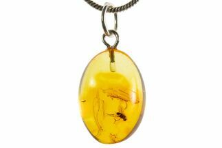 Polished Baltic Amber Pendant (Necklace) - Contains Fly! #339572