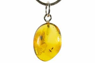 Polished Baltic Amber Pendant (Necklace) - Contains Flies! #339573
