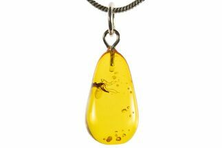 Polished Baltic Amber Pendant (Necklace) - Contains Fly! #339576
