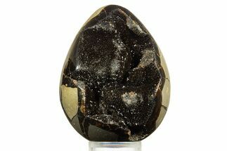 Septarian Dragon Egg Geode - Sparkly Black Crystals #344436