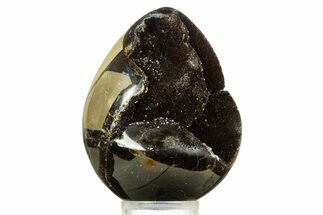 Septarian Dragon Egg Geode - Sparkly Black Crystals #344438
