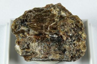 Raw Bronzite (Enstatite) Specimen - Austria #345031