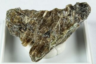 Raw Bronzite (Enstatite) Specimen - Austria #345035