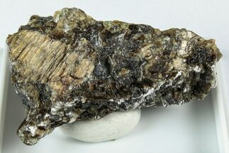 Raw Bronzite (Enstatite) Specimen - Austria #345036