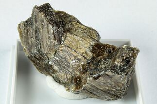 Raw Bronzite (Enstatite) Specimen - Austria #345037