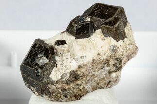 Lustrous Chocolate Fluor-Buergerite Crystals - Mexico #345040