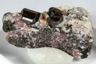 Lustrous Chocolate Fluor-Buergerite Crystals - Mexico #345042