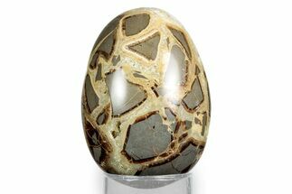 Calcite Crystal Filled Septarian Egg - Utah #344845