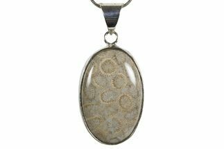 Polished Indonesian Fossil Coral Pendant (Necklace) #345279