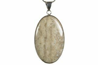 Polished Indonesian Fossil Coral Pendant (Necklace) #345297