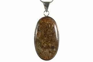 Shimmering Bronzite Pendant (Necklace) #345311