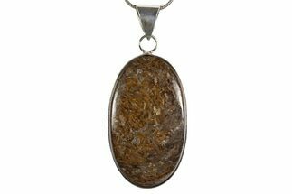 Shimmering Bronzite Pendant (Necklace) #345312