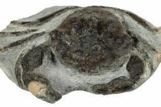 Recently Added For Sale